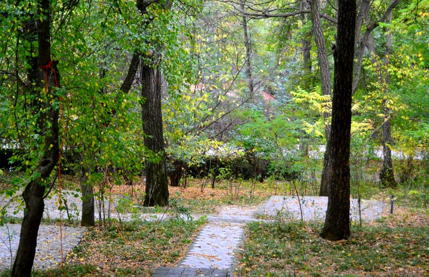 Vanadzor Botanical Garden